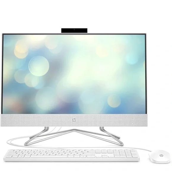 HP All-in-One Computer